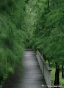 “售楼处、营销核心、开辟商、展现核心”四端